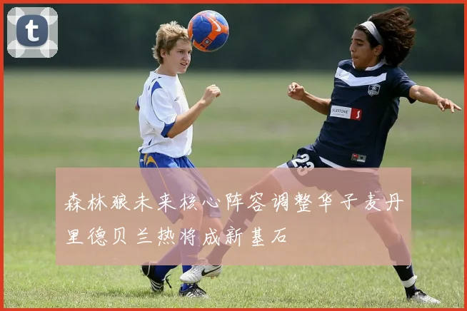 森林狼未来核心阵容调整华子麦丹里德贝兰热将成新基石